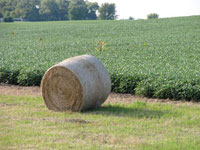 Biomass Bales